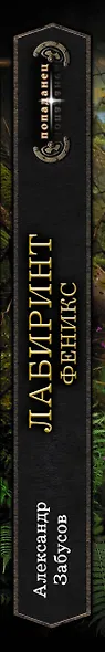 Лабиринт. Феникс - фото 4