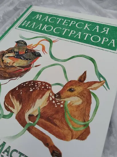 Мастерская иллюстратора - фото 8