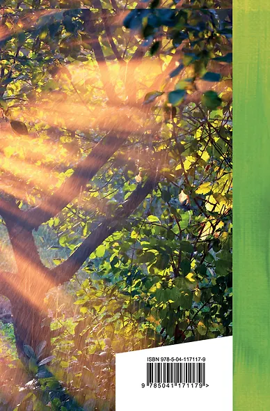 Лирика - фото 2