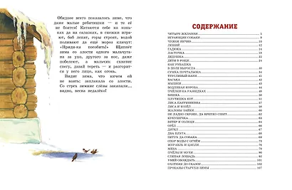 Четыре желания. Рассказы и сказки (ил. С. Ярового) - фото 10