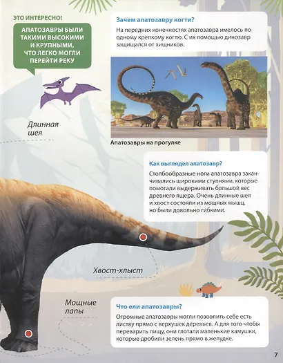 ПЕРВАЯ ДЕТСКАЯ ЭНЦИКЛОПЕДИЯ. ВСЁ О ДИНОЗАВРАХ МАЛЫШАМ - фото 5