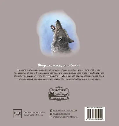 Животные в природе. Волк - фото 2