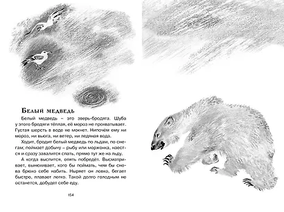 Друзья - фото 14