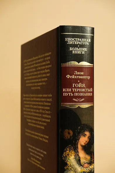 Гойя, или Тернистый путь познания - фото 8