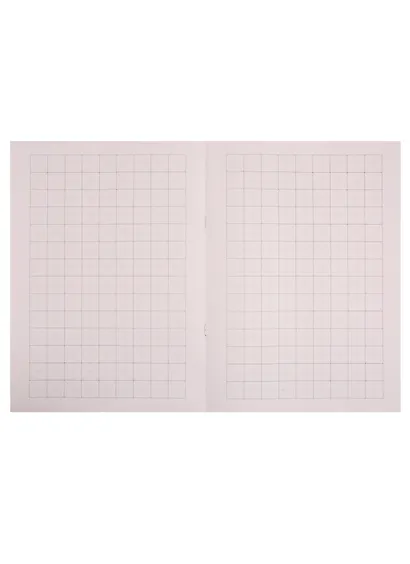 Тетрадь для записи иероглифов в крупную клетку "Прописи", B5, 16 листов - фото 2