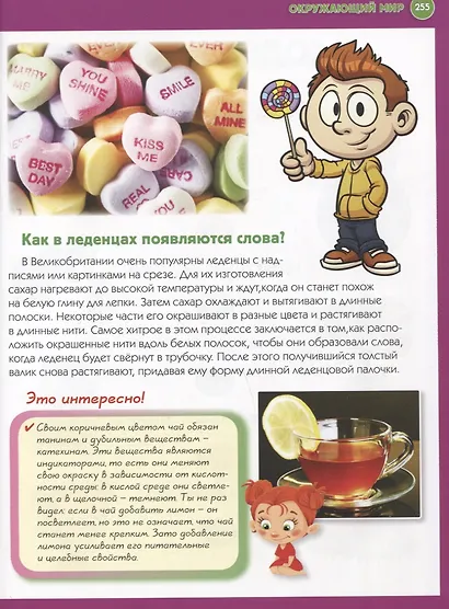 Детская иллюстрированная энциклопедия в вопросах и ответах - фото 4