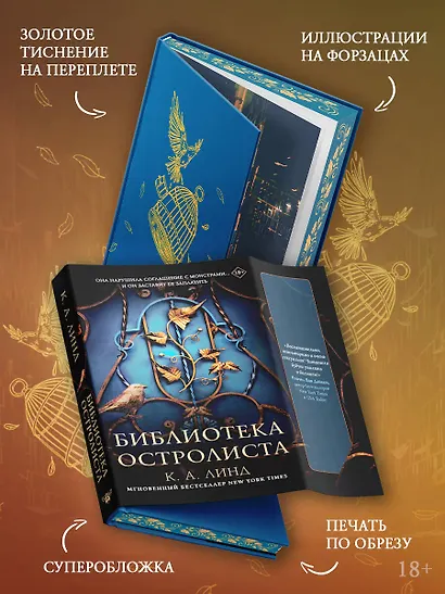 Библиотека Остролиста - фото 6