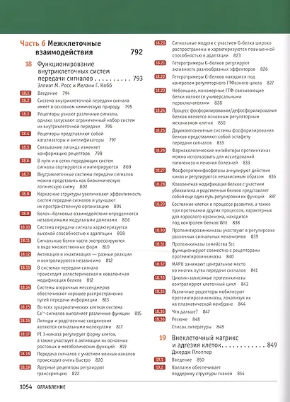 Клетки по Льюину - фото 4