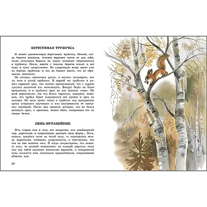 Беличья память - фото 3