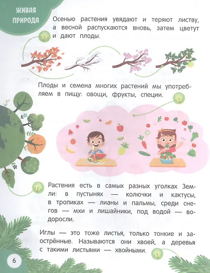 Моя первая книга открытий: для детей от 3-х лет - фото 5