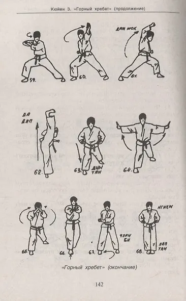 Вьетводао-Вовинам. От начинающего к черному поясу - фото 7