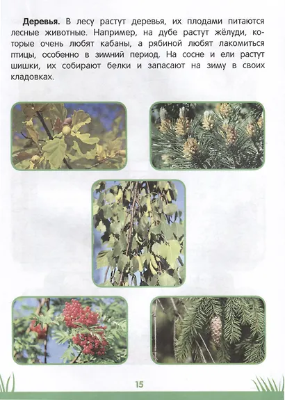 Энциклопедия дошкольника. 3-4 года - фото 5