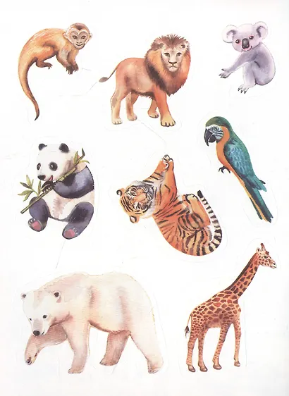 Многоразовые наклейки. Зоопарк - фото 3