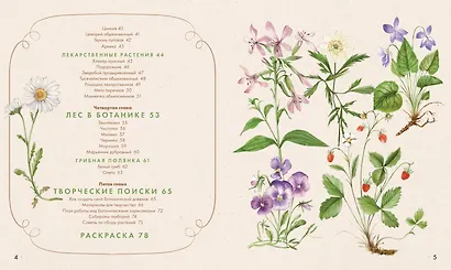 Акварельный лес. Ботанический дневник для любителей природы и акварели - фото 4