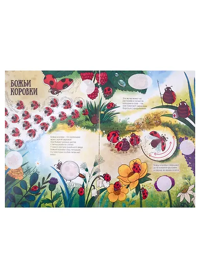 Атлас насекомых - фото 5