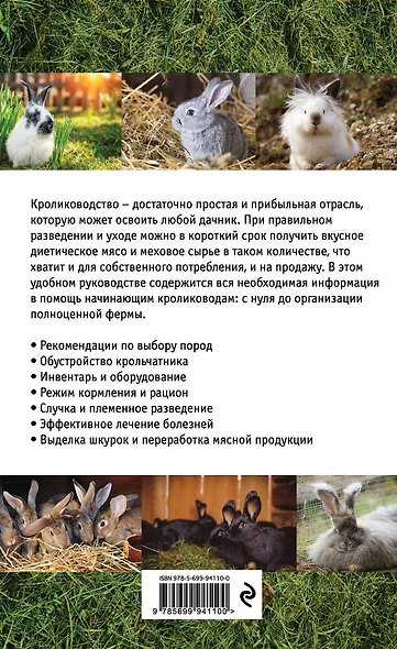 Кролиководство для начинающих - фото 2