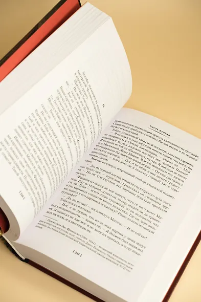 Гойя, или Тернистый путь познания - фото 10