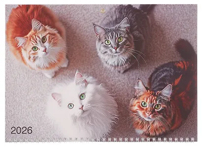 Календарь квартальный 2026г 295*830 "Кто?" настенный, трёхблочный, спираль - фото 2