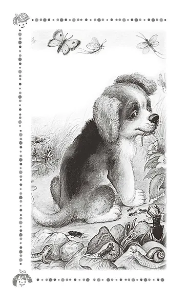 Чижик-Пыжик. Рассказы и сказки - фото 9