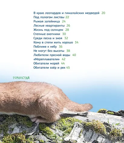 Животные России - фото 3