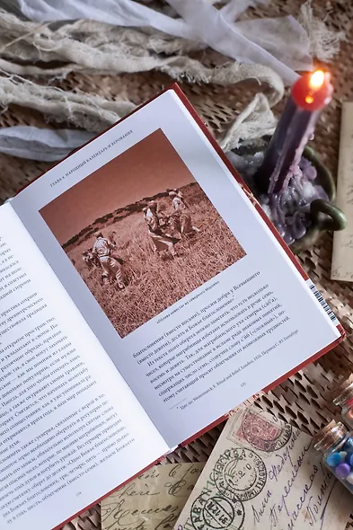 Мифы Северной Африки. От дерева Шэшра с золотыми листьями до богини Танит и египетских подменышей - фото 11