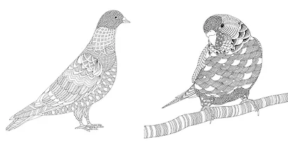 В царстве животных. Книга для творчества и вдохновения - фото 4