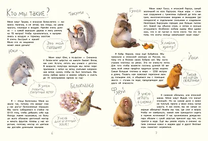 Летяга Такуми в Японии - фото 9