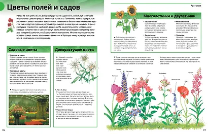 Новая энциклопедия школьника - фото 4
