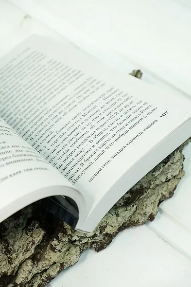 Три гроба - фото 9