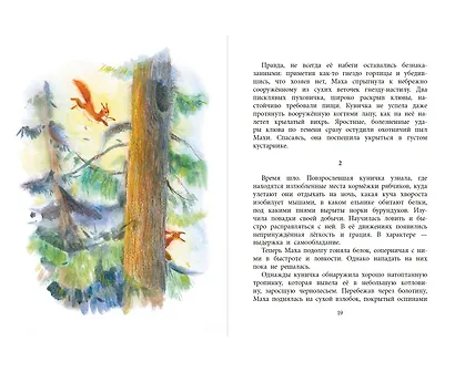 Маха, или История жизни кунички. Повесть - фото 4