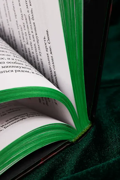 Скверная. Специальное издание - фото 13