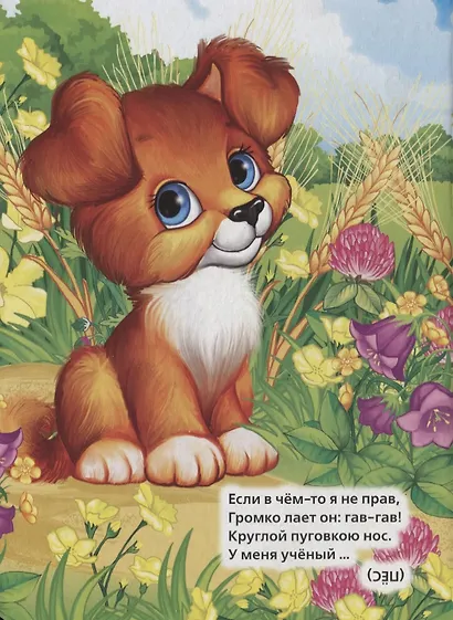 Загадки о животных - фото 2