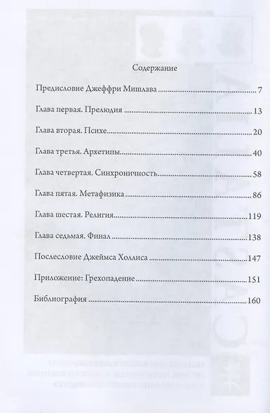 Расшифровывая метафизику Юнга. Архетипическая семантика эмпирической вселенной - фото 2
