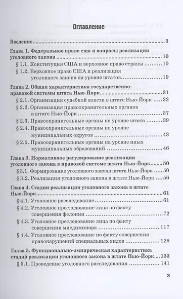 Реализация уголовного закона в правовой системе штата Нью-Йорк: Монография - фото 2