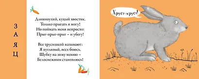 Перевертыши. Лесные  животные. Картинки - половинки - фото 11