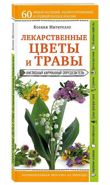 Лекарственные цветы и травы. Наглядный карманный определитель - фото 2