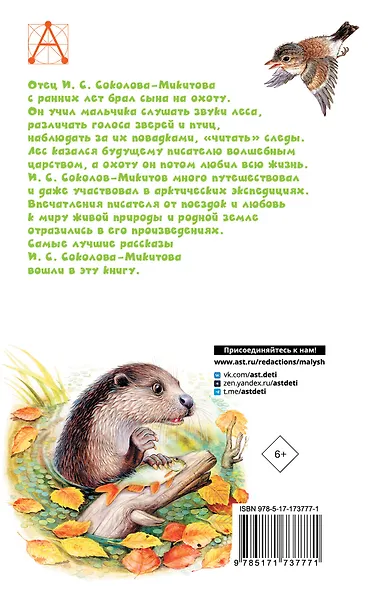 Листопадничек. Рассказы - фото 2