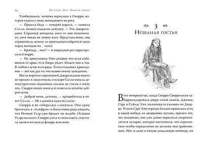 Септимус Хип. Книга 3. Эликсир жизни - фото 4