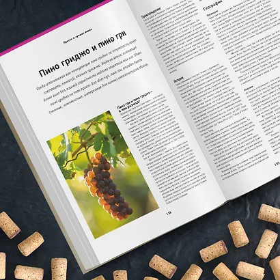 Просто о лучших винах. Новая энциклопедия. Издание 2-е, дополненное - фото 9