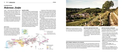 Дегустация как метод познания. Винный курс с лирическими отступлениями - фото 8