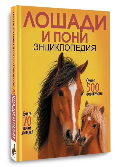 Лошади и пони - фото 3