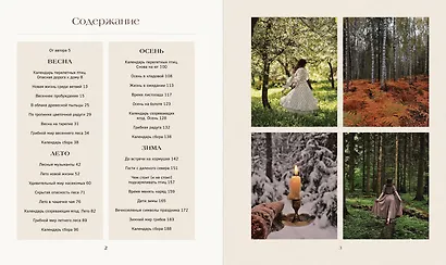 Тайная жизнь леса. Русская природа в фактах и зарисовках - фото 3