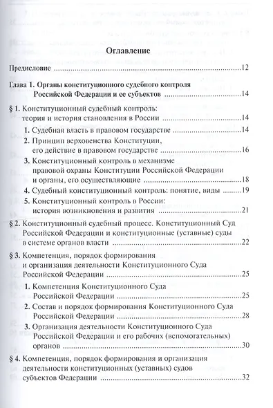 Конституционный судебный процесс - фото 2