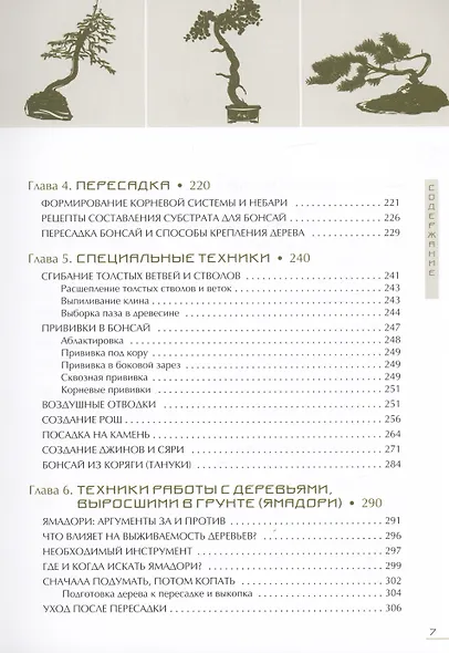 Бонсай. Маленькие деревья для большой радости - фото 4