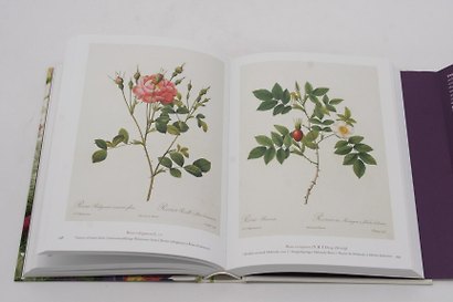 Redoute. Book of Flowers: 40th Anniversary Edition - фото 8