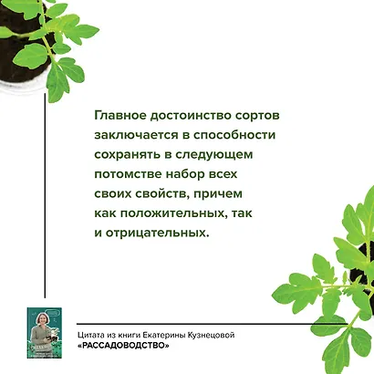 Рассадоводство. Первые шаги к своему идеальному саду - фото 5