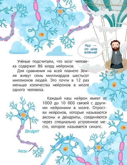 Мозг - фото 5