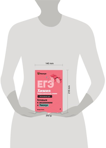 ЕГЭ. Химия. Неорганическая химия. Интенсивный курс - фото 15
