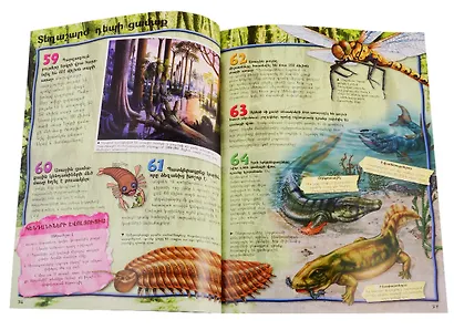 100 фактов. Эволюция (на армянском языке) - фото 7