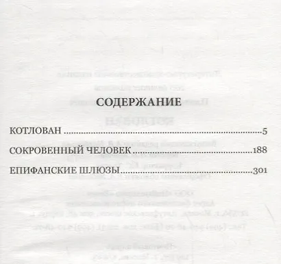 Котлован - фото 2